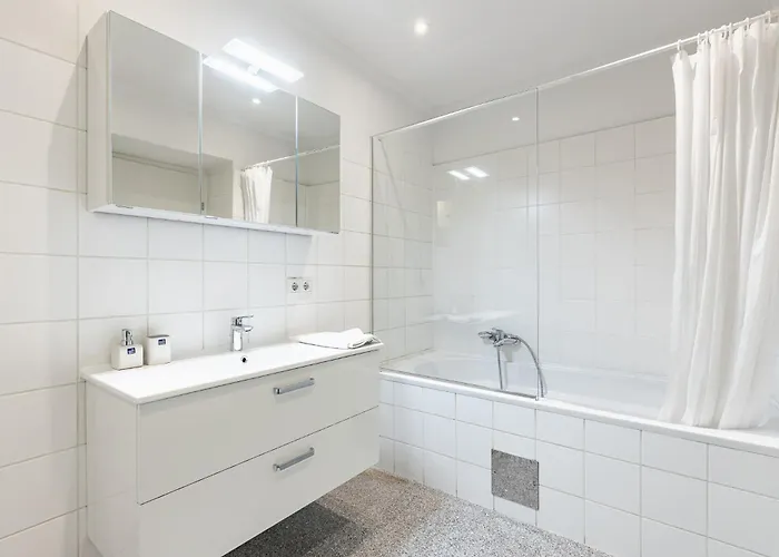 New Stylish In The Heart Of Viena